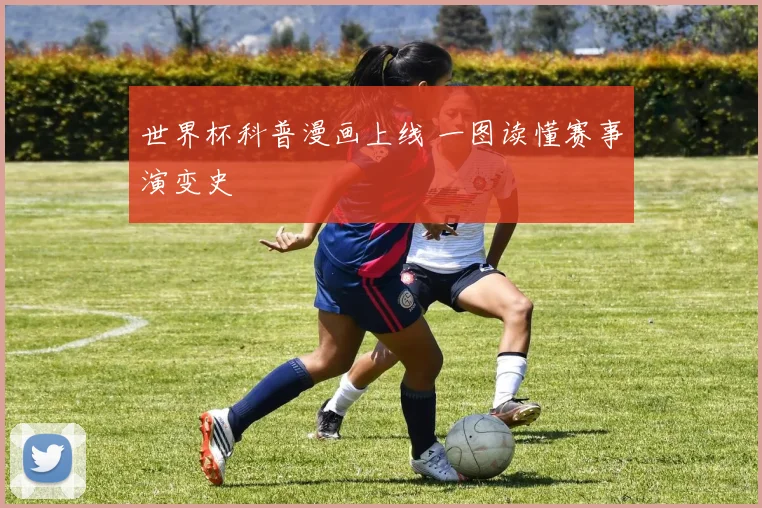 世界杯科普漫画上线 一图读懂赛事演变史